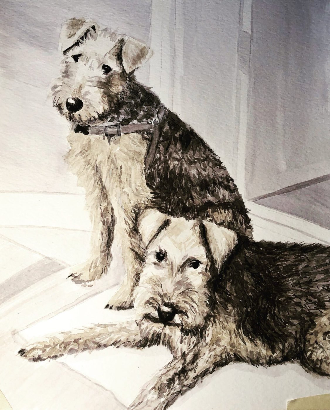 Watercolor portrait of two terriers sitting together